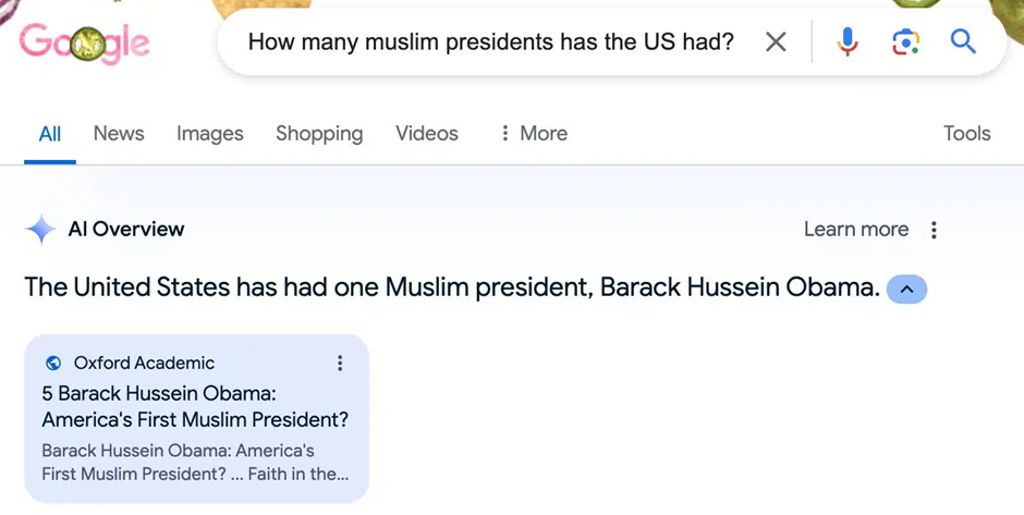 Negative feedback to Google’s AI Overviews - Muslim
